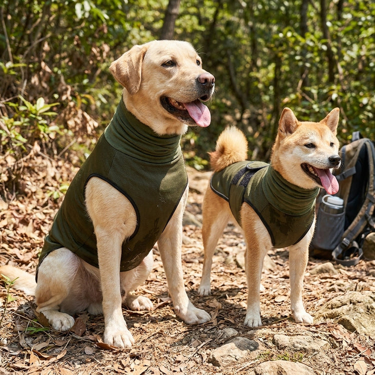 Pet Products