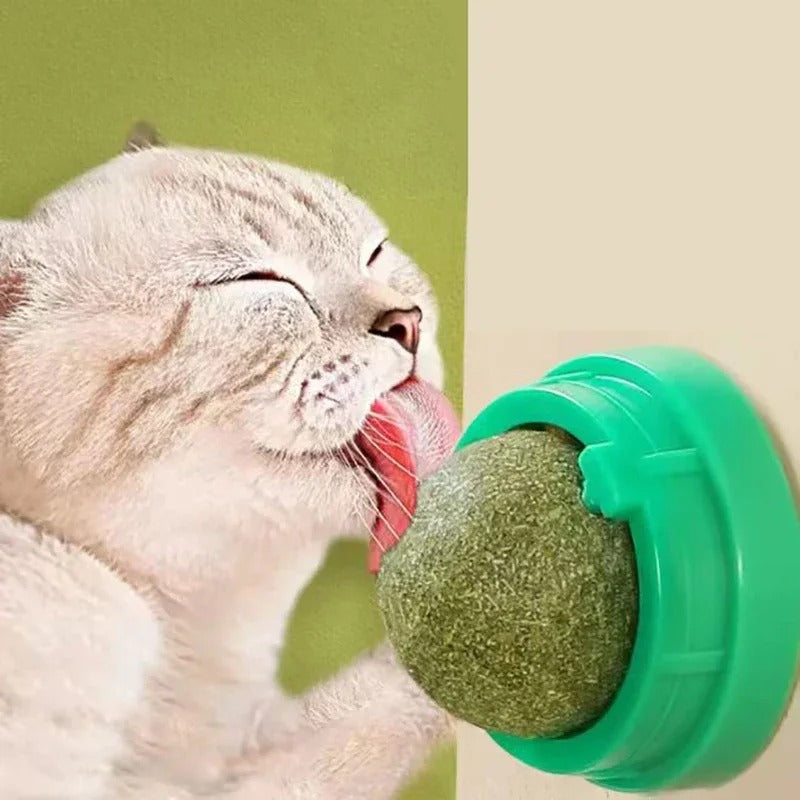 Premium Catnip Ball